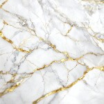 Morretti Surfaces